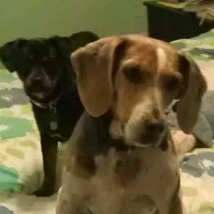 Meet your Posher, Stacey